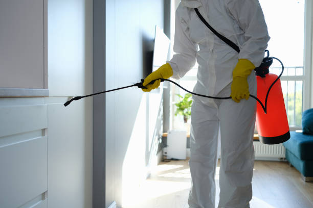 Best Professional Mold Removal  in Landover Hills, MD