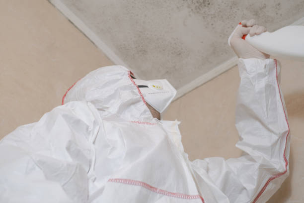 Best Crawl Space Mold Removal  in Landover Hills, MD