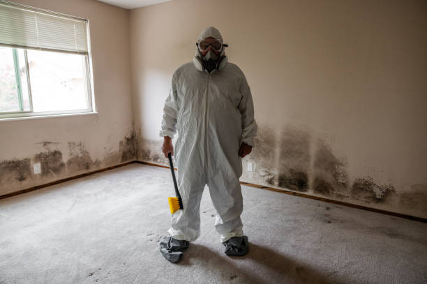 Best Affordable Mold Removal  in Landover Hills, MD